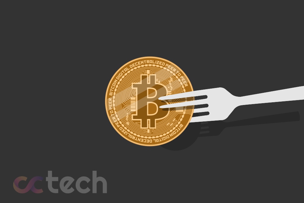 Cryptocurrency Forks